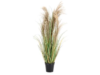 Artificial plant AUSTORDERIA PAMPAS H90 Bizzotto