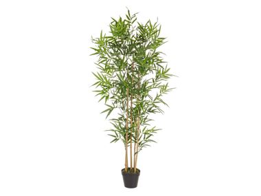 Artificial plant BAMBOO H155 Bizzotto