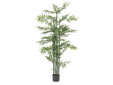 Artificial plant BAMBOO H190 Bizzotto