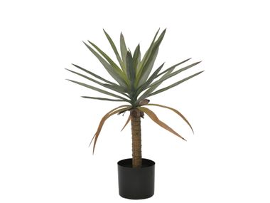 Artificial plant DRACAENA H62 Bizzotto