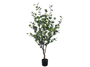 Artificial plant EUCALIPTO H150 Bizzotto