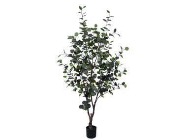 Artificial plant EUCALIPTO H180 Bizzotto