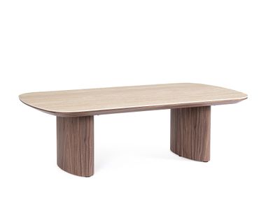 Rectangular central coffee table EZEKIEL Bizzotto