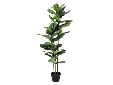 Artificial plant FICUS LYRATA H145 Bizzotto
