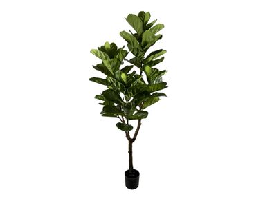 Artificial plant FICUS LYRATA H180 Bizzotto