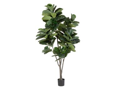 Artificial plant FICUS LYRATA H230 Bizzotto