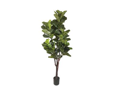 Artificial plant FICUS LYRATA H220 Bizzotto