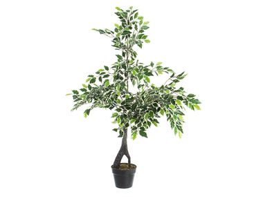 Artificial plant FICUS VARIEGATO Bizzotto
