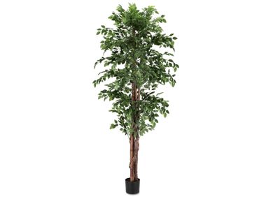Artificial plant FICUS Bizzotto