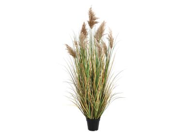 Artificial plant GYNERIUM PAMPAS H150 Bizzotto