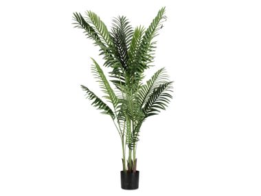 Artificial plant KENZIA H160 Bizzotto