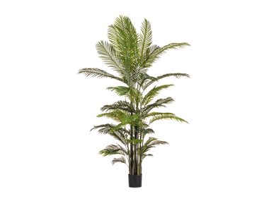 Artificial plant KENZIA H210 Bizzotto