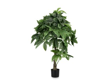 Artificial plant PACHIRA AQUATICA H120 Bizzotto