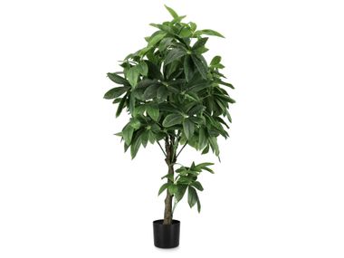 Artificial plant PACHIRA AQUATICA H160 Bizzotto