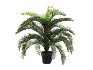 Artificial plant PALMA CYCAS H120 Bizzotto