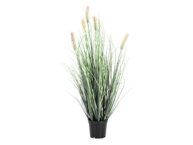 Artificial plant PENNISETUM H61 Bizzotto