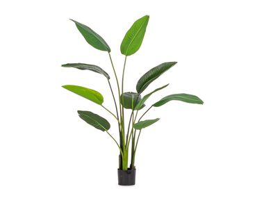 Artificial plant STRELITZIA H150 Bizzotto