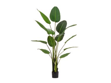 Artificial plant STRELITZIA H185 Bizzotto
