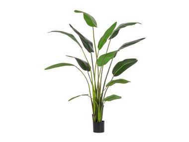 Artificial plant STRELITZIA H235 Bizzotto