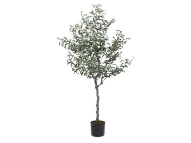 Artificial plant ULIVO H150 Bizzotto