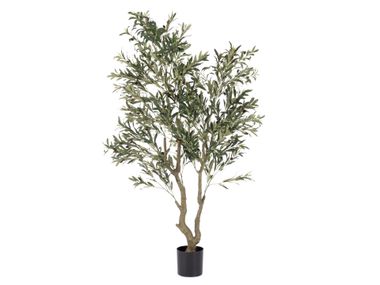Artificial plant ULIVO H180 Bizzotto