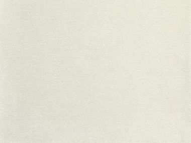 ファブリック NISH Dedar