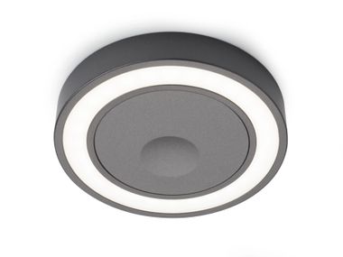 Surface LED luminaire HOLL SP Domus Line