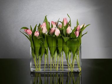 Pianta artificiale ETERNITY - MILOS VGnewtrend