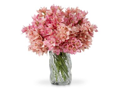 Artificial plant BOUQUET OF CYMBIDIUM ORCHIDS Eichholtz