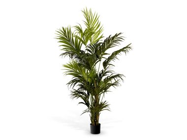 Artificial plant KENTIA PALM Eichholtz