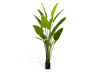 Artificial plant STRELITZIA L Eichholtz