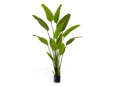 Artificial plant STRELITZIA M Eichholtz