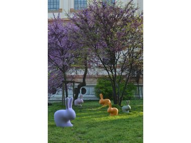 QEEBOO - RABBIT CHAIR LIGHT BLUE Polyethylene garden chair By In Stock ...