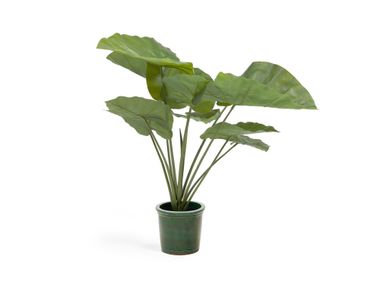 Pianta artificiale ALOCASIA Kave Home