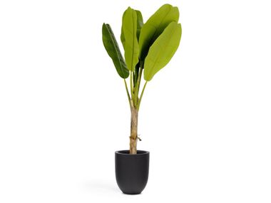 Pianta artificiale BANANO Kave Home