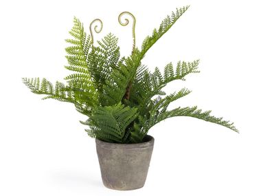 Pianta artificiale FILICOPSIDA Kave Home