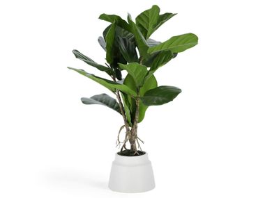 Pianta artificiale LYRATA Kave Home