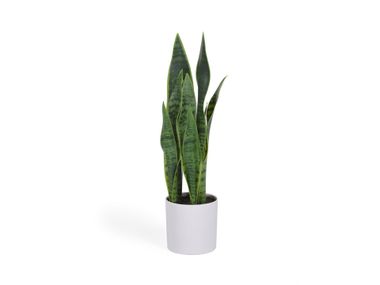 Pianta artificiale SANSEVIERIA Kave Home