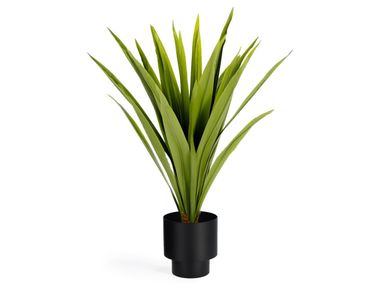 Pianta artificiale YUCCA Kave Home