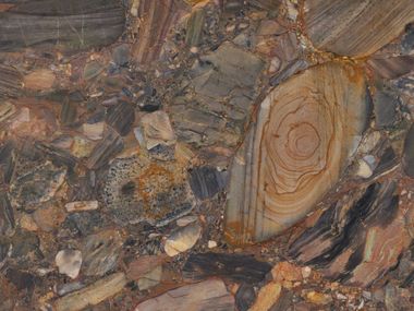 Wand- und Bodenbelag aus Quarzit FOUR SEASONS MARGRAF