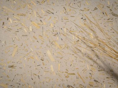 Mineral wall coating powder for interior applications MATERIA VIVA CANAPA Novacolor