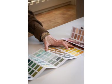 Guida colore della collezione Ressource Collection color guide ...
