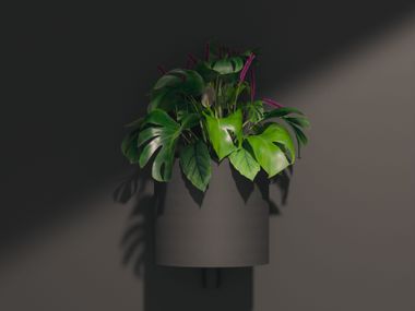 Metal plant pot FX BLOOMER SCHNEEWEISS interior