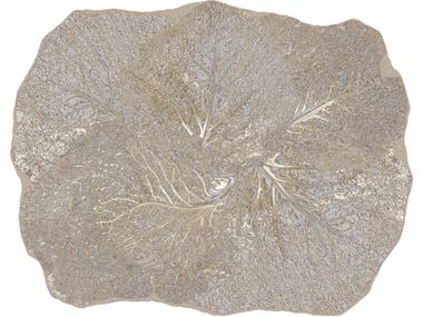 Polyamide rug CORALLIUM STYL’EDITIONS