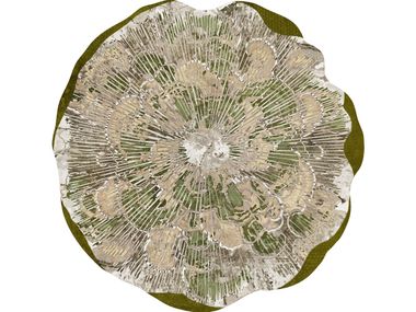 Polyamide rug MYCELIUM BREATH STYL’EDITIONS