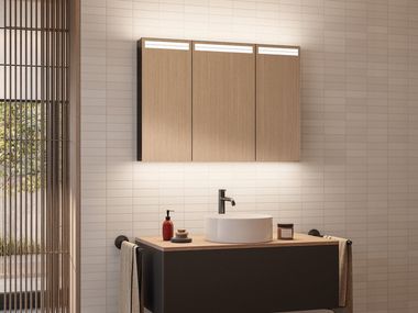 Wall-mounted rectangular bathroom mirror with integrated lighting ARANGA TW Schneider