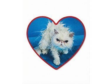 Teppich aus Polyester ANGRY CAT Seletti