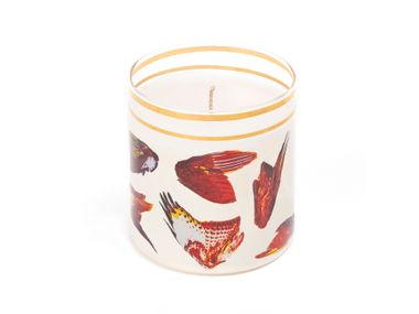 Kerze aus Borosilikatglas WINGS Seletti