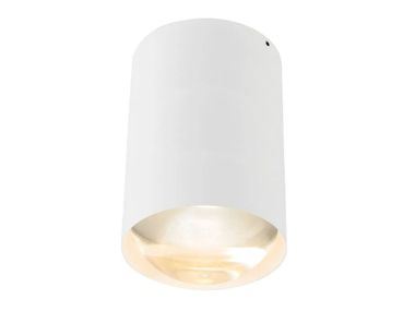 Ceiling LED aluminium spotlight BILY 16 UP Trizo21