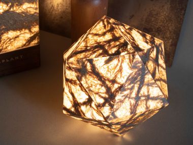 Viaplant® Cast table lamp / floor lamp HEDRON VIAPLANT